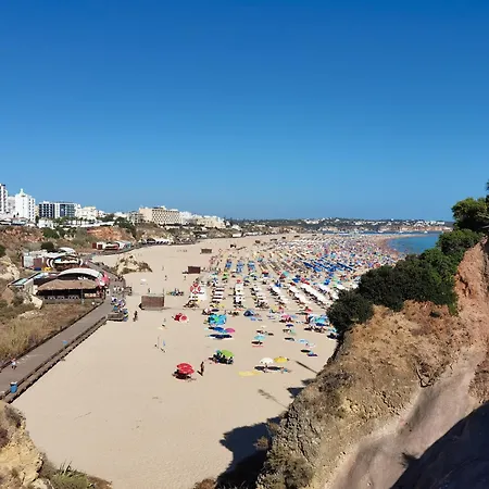 Apartment Praia Rocha Tropical Portimao Exterior photo